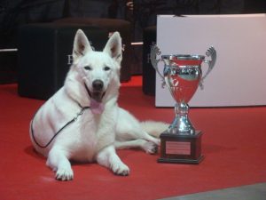 228570_221592011185036_6319891_n