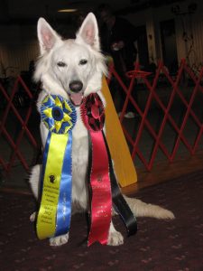 463971_3657869766263_1822368728_o